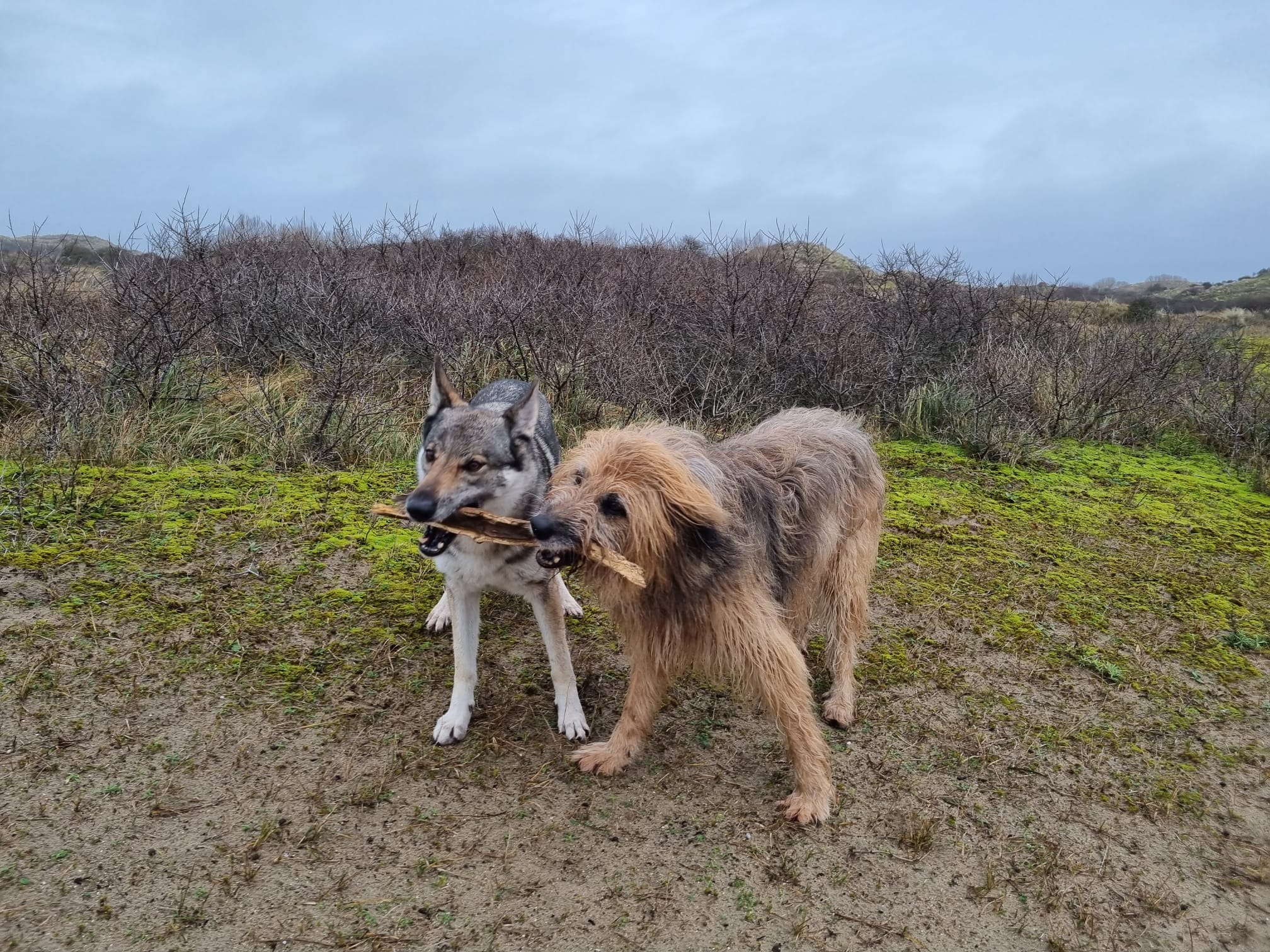 Sharing is caring